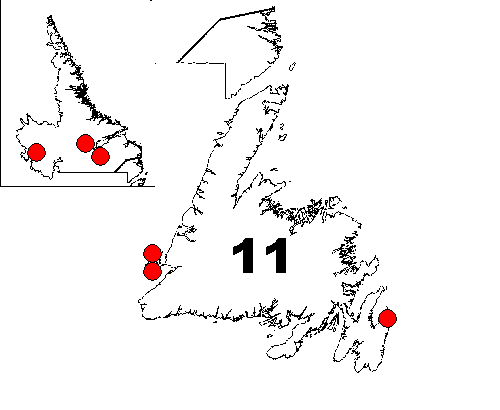 District 1: Labrador