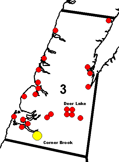 District 3: Corner Brook/Deer Lake/St. Barbe