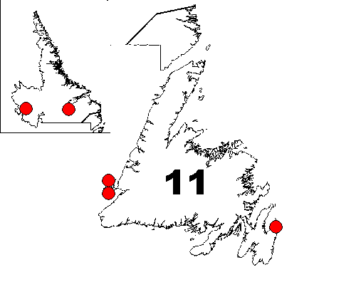District 1: Labrador