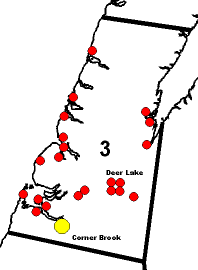 District 3: Corner Brook/Deer Lake/St. Barbe