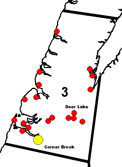 District 3: Corner Brook/Deer Lake/St. Barbe